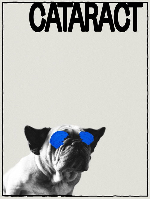 Póster de Cataract