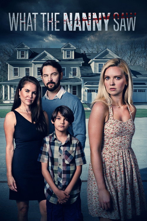 Póster de What the Nanny Saw