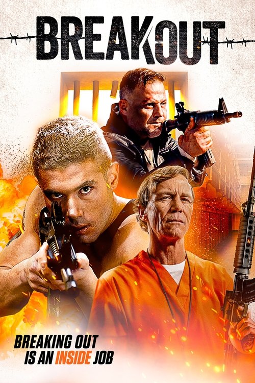 Póster de Breakout