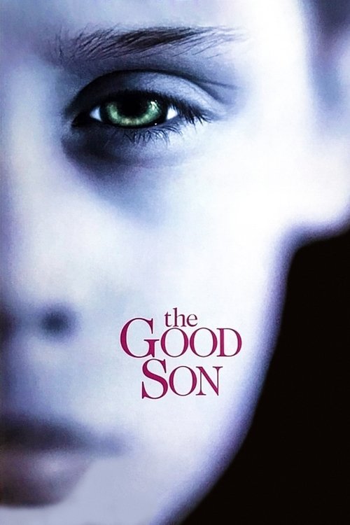 Póster de The Good Son