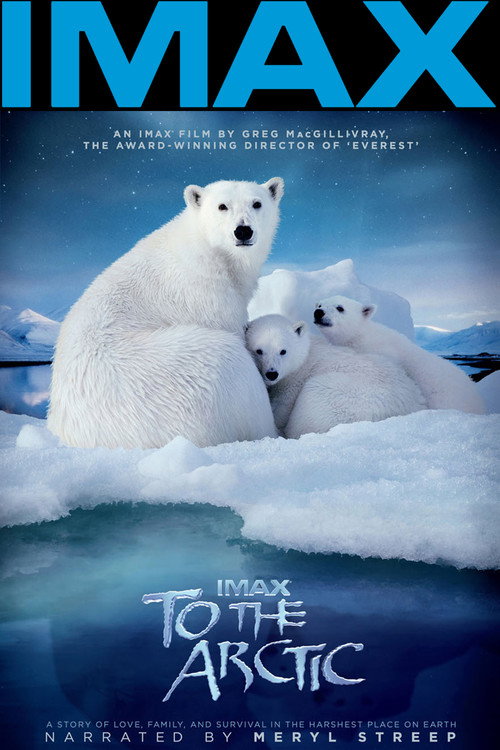 Póster de To the Arctic 3D