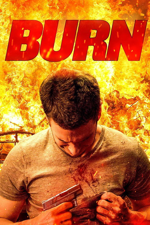 Póster de Burn