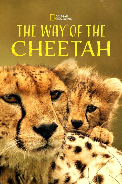 Póster de The Way of the Cheetah