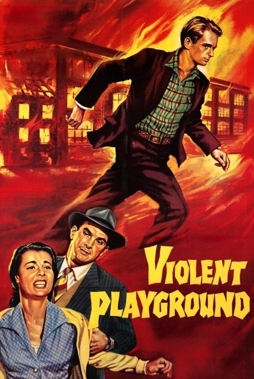 Póster de Violent Playground