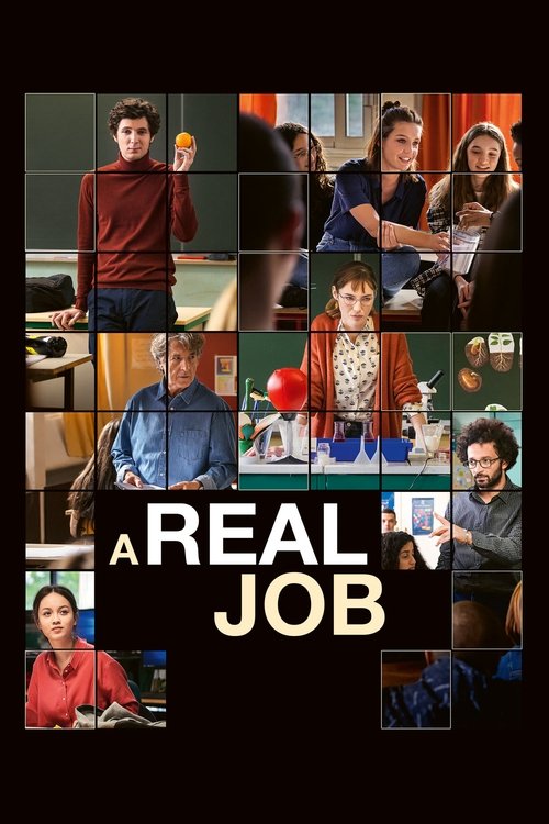 Póster de A Real Job