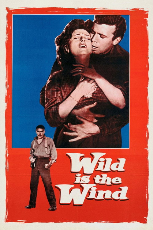 Póster de Wild Is the Wind