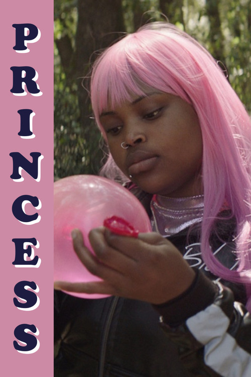 Póster de Princess
