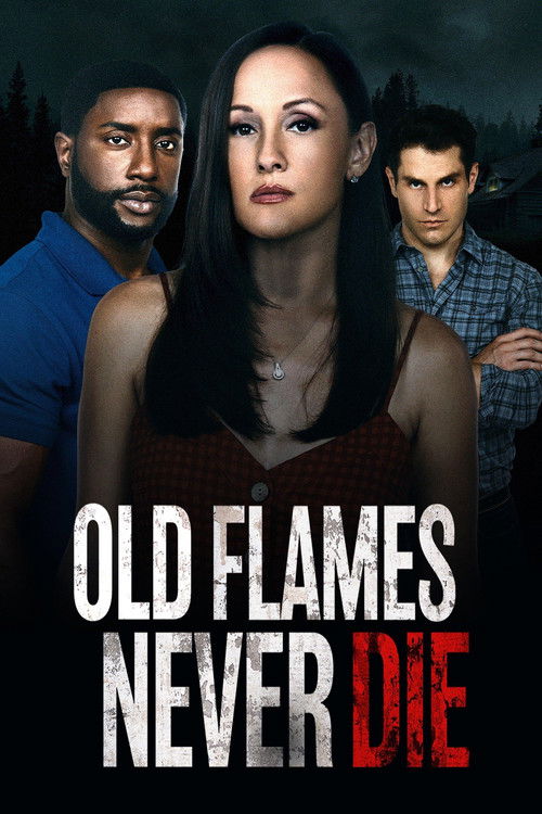 Póster de Old Flames Never Die