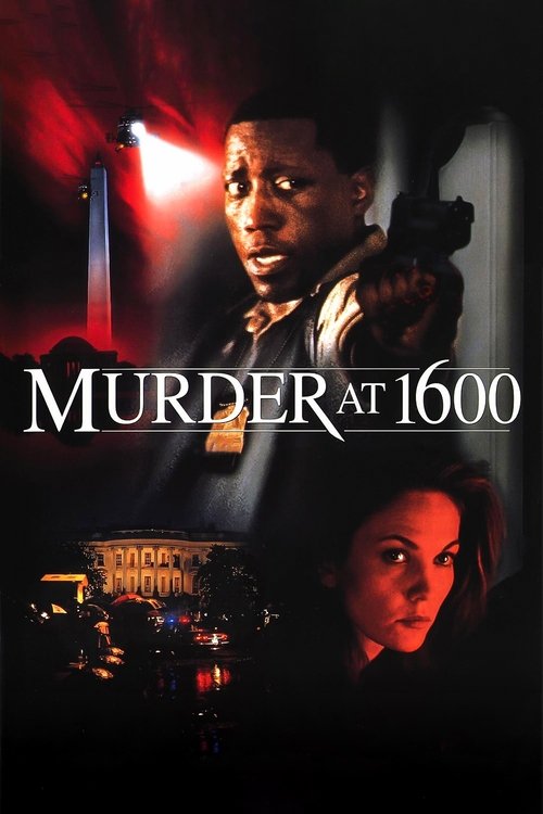 Póster de Murder at 1600