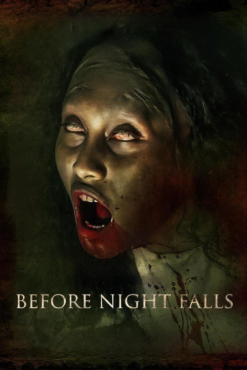 Póster de Before Night Falls