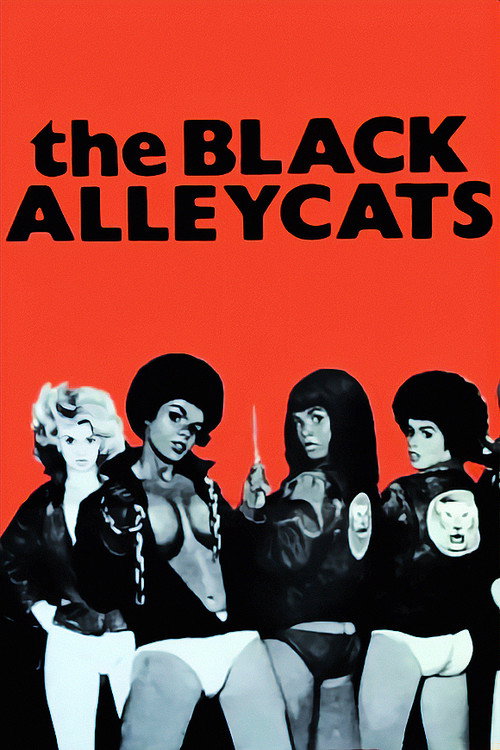 Póster de The Black Alley Cats