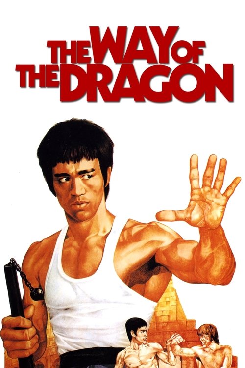 Póster de The Way of the Dragon