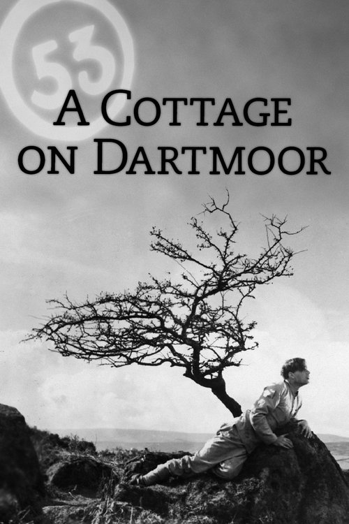 Locandina di A Cottage on Dartmoor