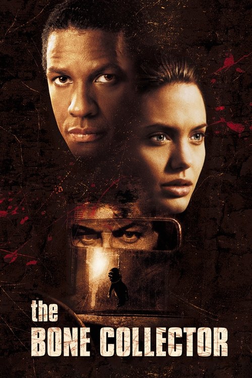 Póster de The Bone Collector