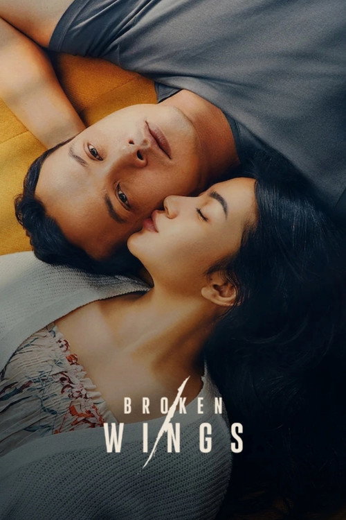 Póster de Broken Wings