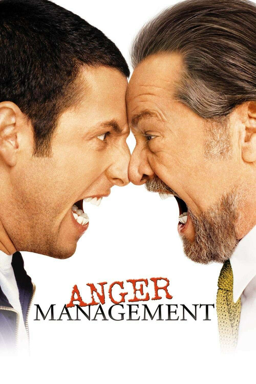 Póster de Anger Management