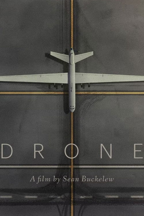 Locandina di Drone