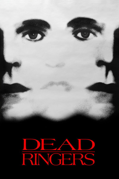 Póster de Dead Ringers