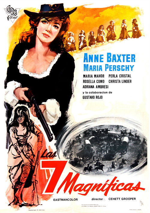 Póster de Las 7 magnificas