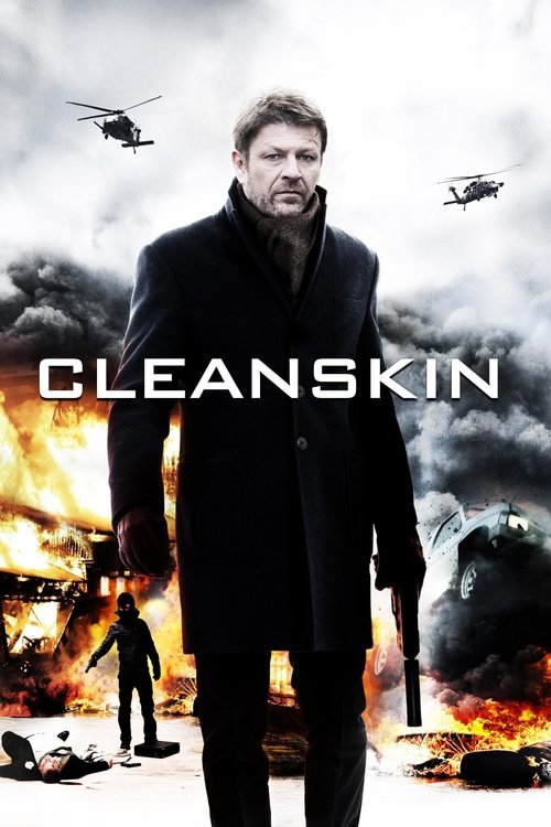 Póster de Cleanskin