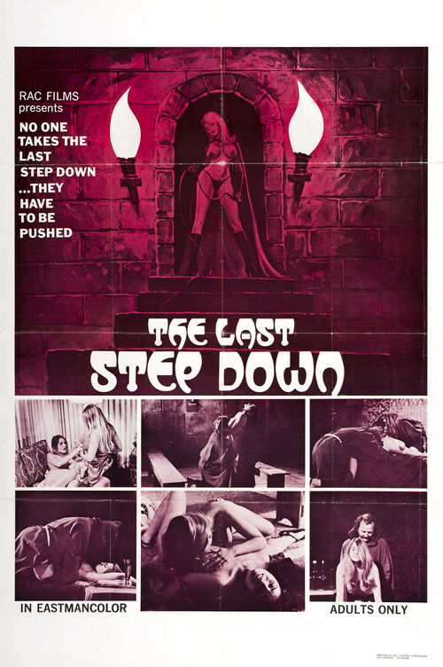 Póster de The Last Step Down