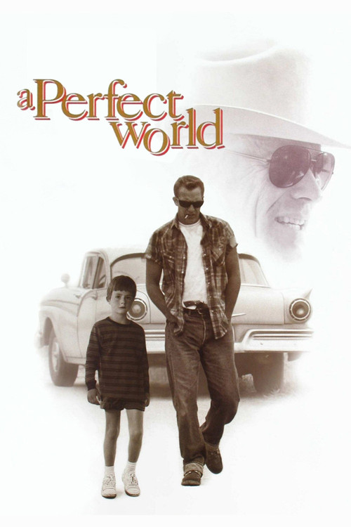 Póster de A Perfect World