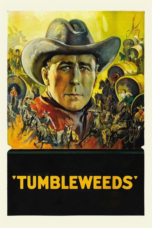 Póster de Tumbleweeds