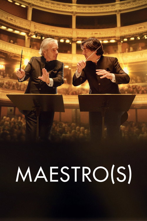 Póster de Maestro(s)