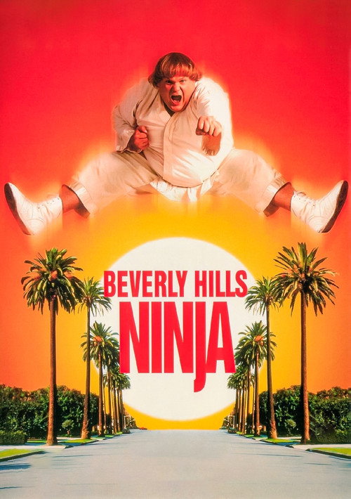 Póster de Beverly Hills Ninja