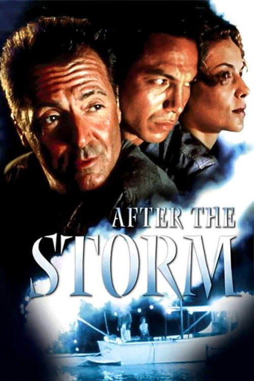 Póster de After the Storm