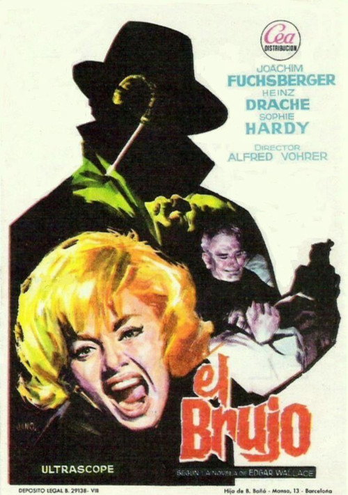 Póster de The Mysterious Magician