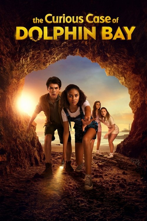Póster de The Curious Case of Dolphin Bay