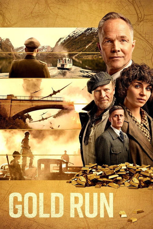 Póster de Gold Run