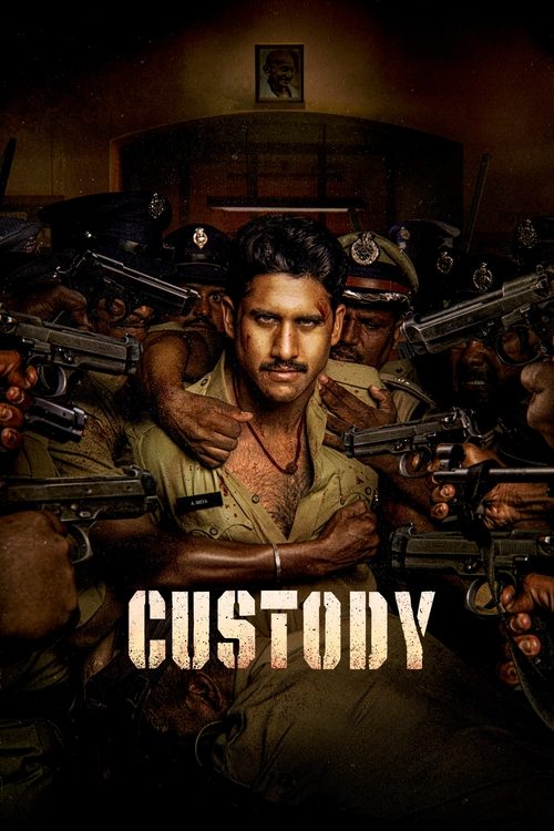 Póster de Custody