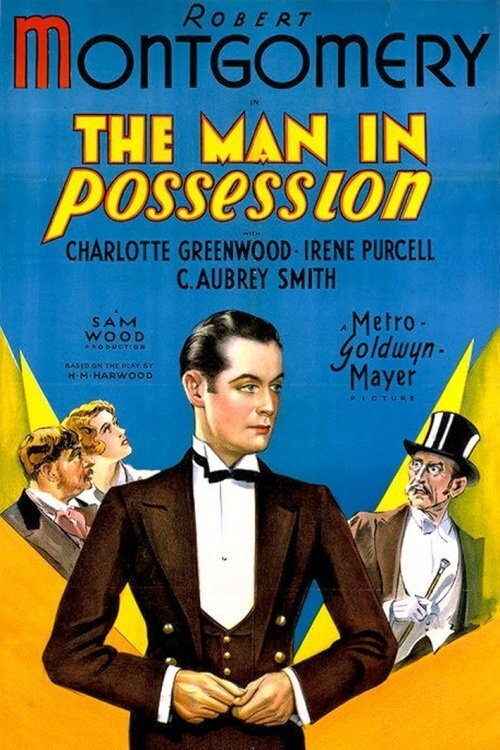 Pôster de The Man in Possession