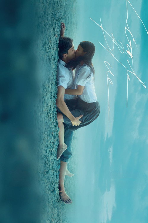 Póster de Little Blue