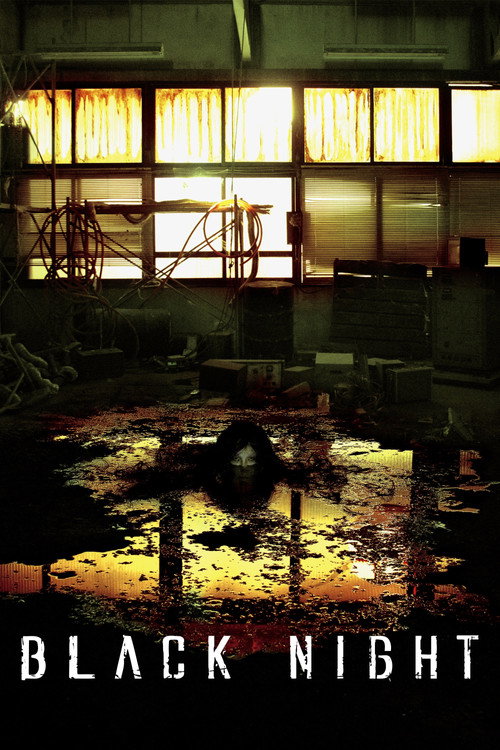 Póster de Black Night