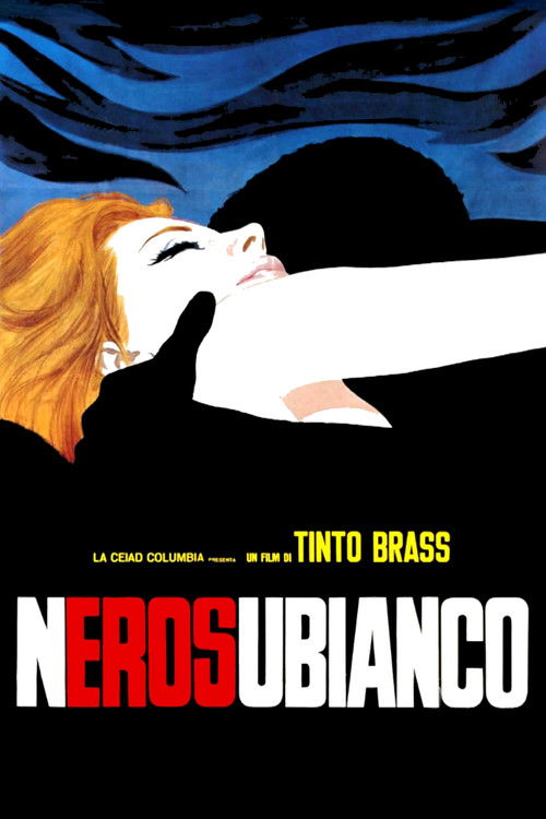 Póster de Attraction