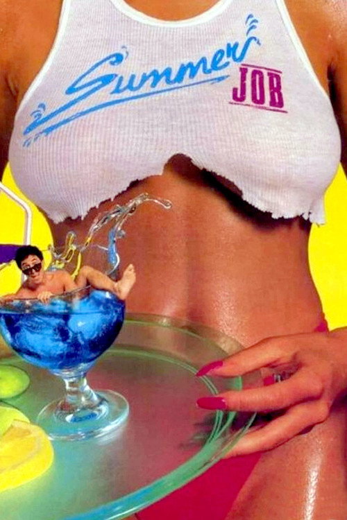 Póster de Summer Job