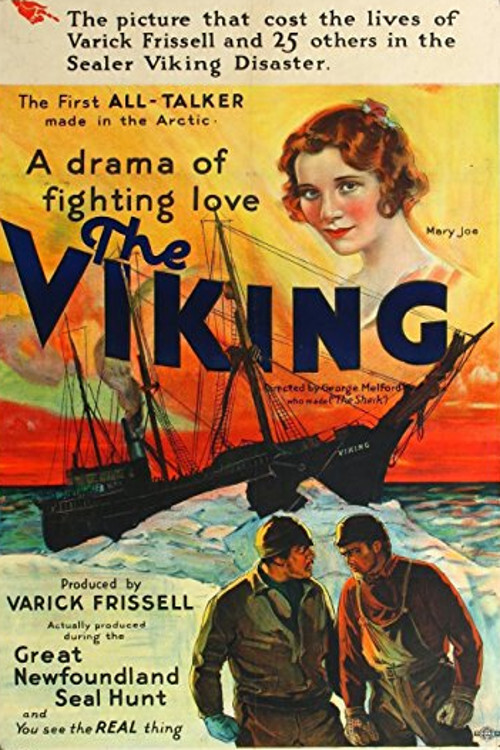 Póster de The Viking