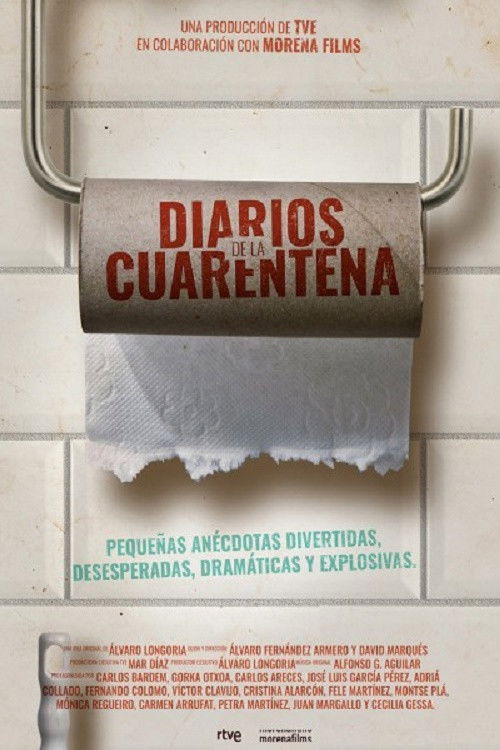 Póster de Diarios de la cuarentena