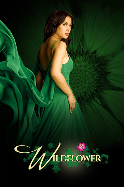 Póster de Wildflower