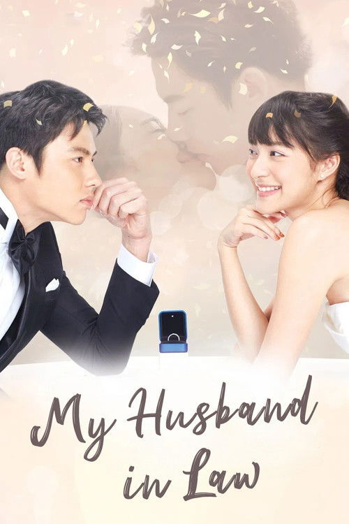 Póster de My Husband in Law
