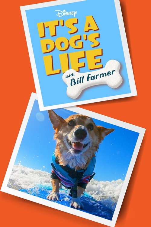 Póster de It's a Dog's Life with Bill Farmer
