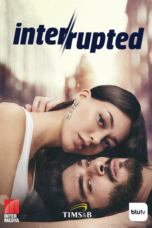 Póster de Unfinished Love Circle