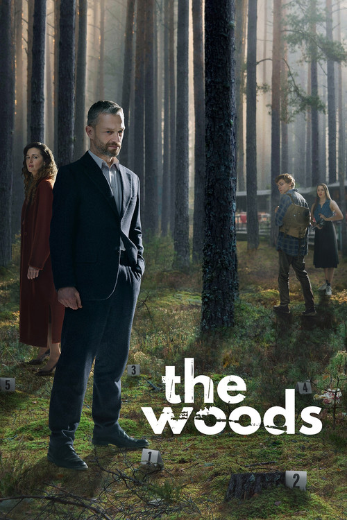 Póster de The Woods