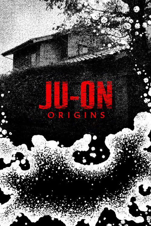 Póster de Ju-On: Origins