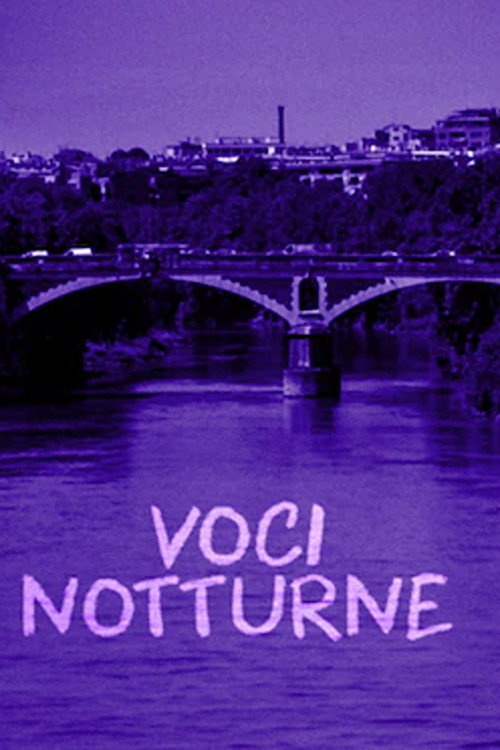 Poster von Night Voices