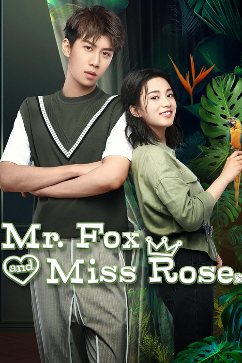 Póster de Mr. Fox and Miss Rose