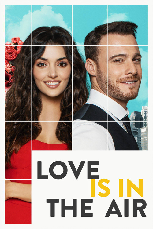 Póster de Love Is in the Air